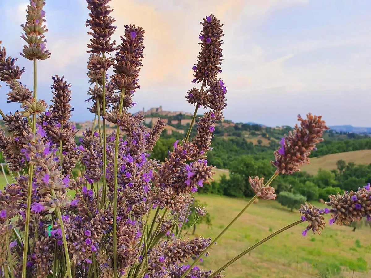 Casa Nonna Dilia Apartment Manciano Italy