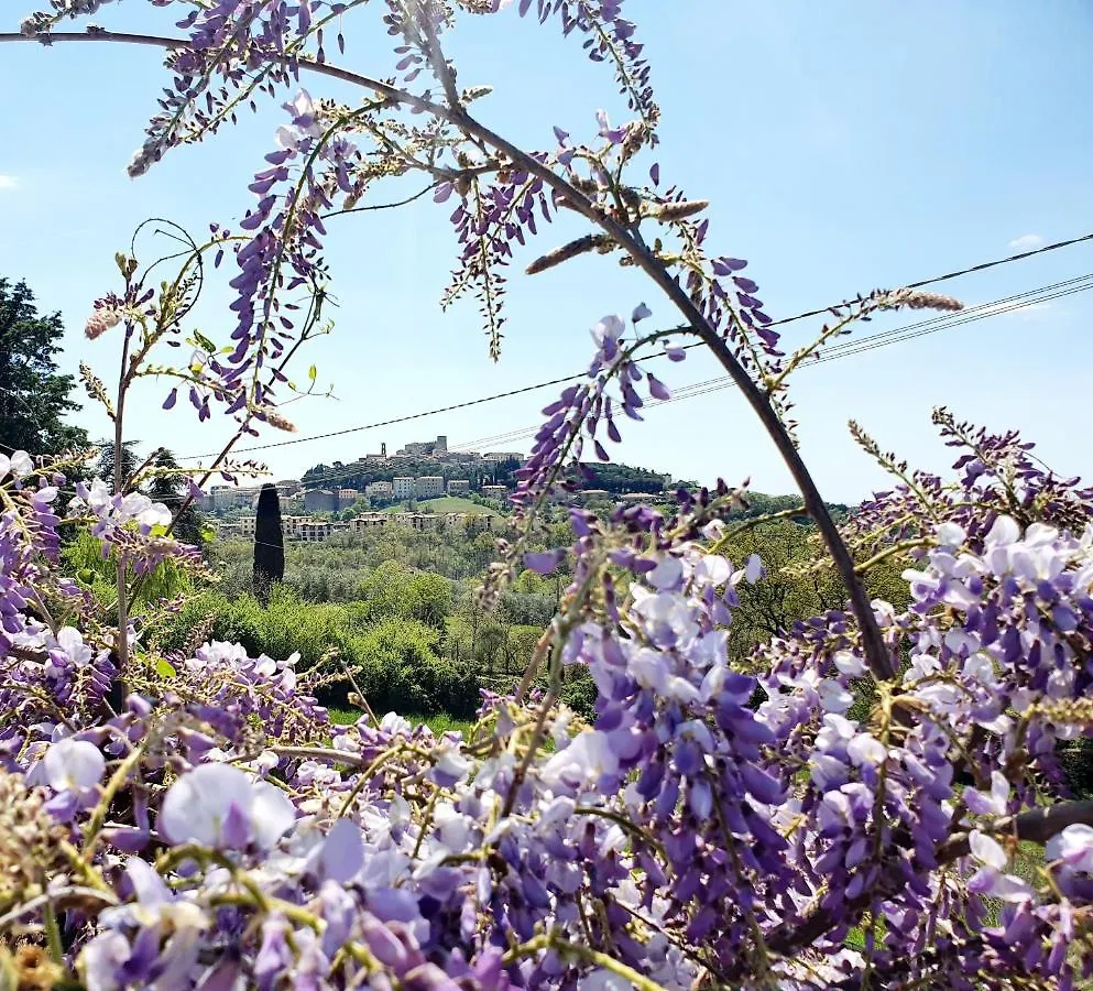 Casa Nonna Dilia Daire Manciano